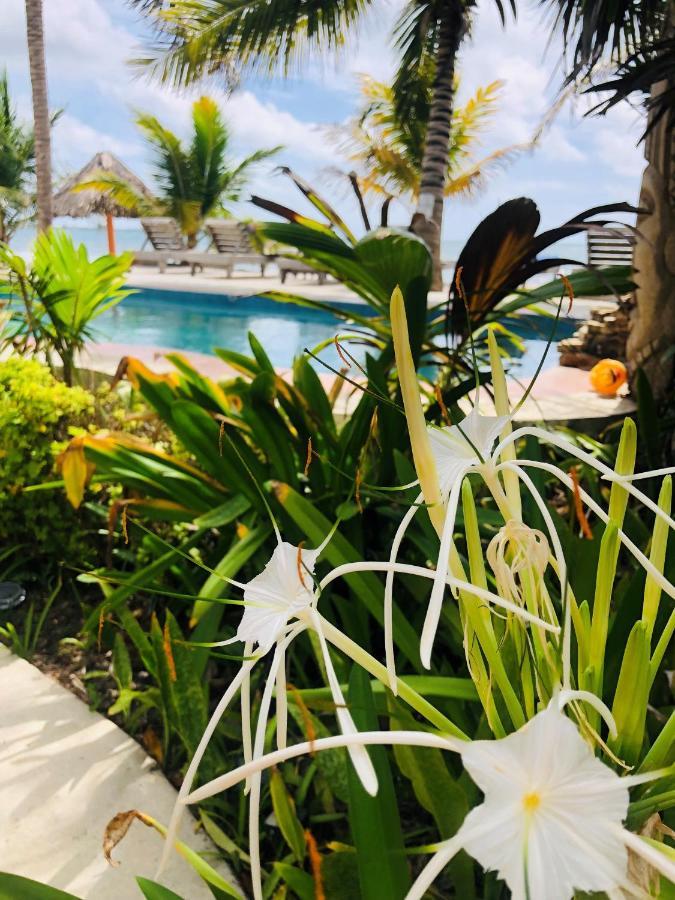 Coral Cove Inn Maya Beach Екстериор снимка