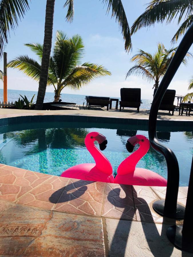 Coral Cove Inn Maya Beach Екстериор снимка